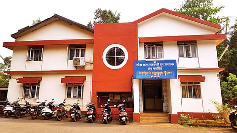 Goa Dairy