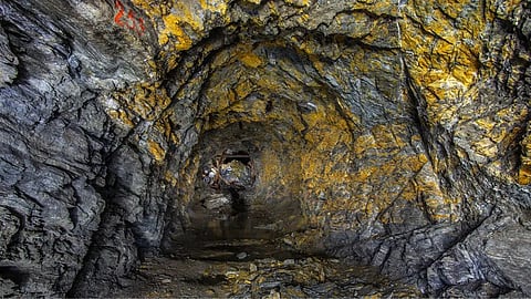 Gold Mine