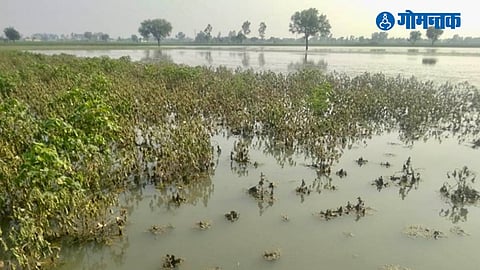 Water Issues