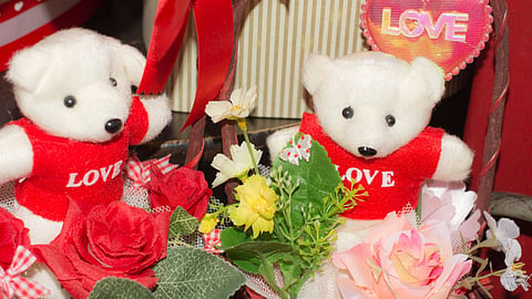 Teddy Day 2023