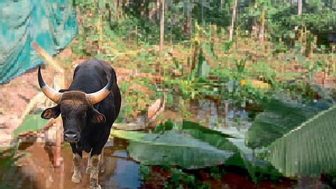 Goa News |