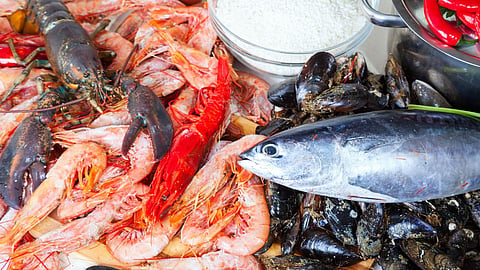 Marine Products | Union Budget 2023