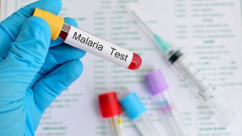 Malaria |Eradication Goa