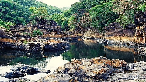 Mahadayi River |Goa News