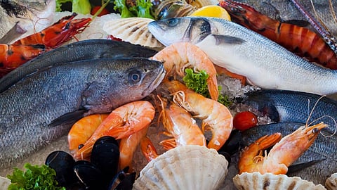 Seafood