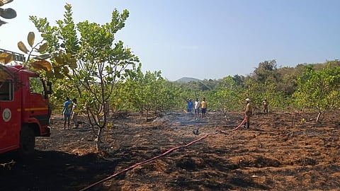 Goa Forest Fire