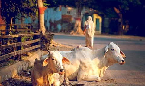 Siolim 