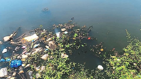 Bicholim River