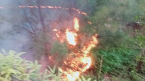 Fire in Goa 