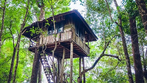 Treehouse