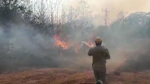 Fire In Goa