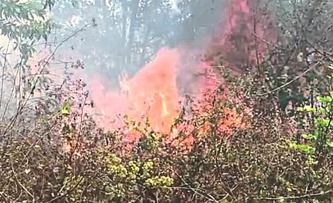 Fire In Goa