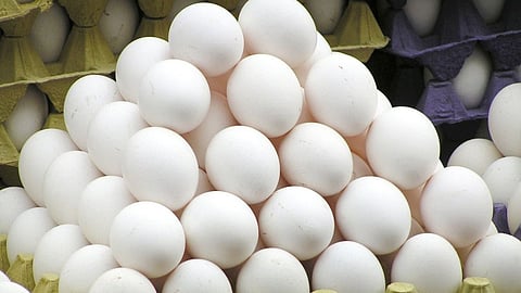 Eggs 