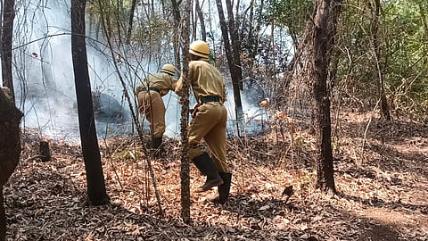 Fire In Goa