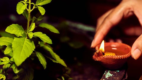Vastu Tips For Tulsi