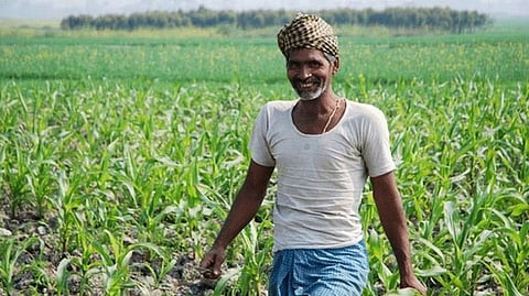 Farmer
