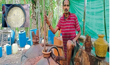 Cashew Production