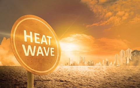 Climate Change Report