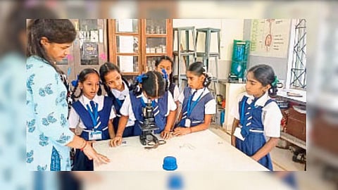 Children participating in summer camps organized in various educational institutes