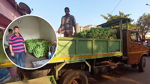 Mapusa FDA Action
