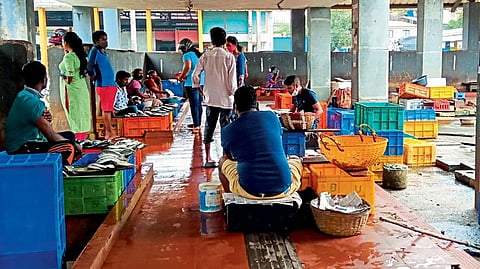 SGPDA Wholesale Fish Market SOPO