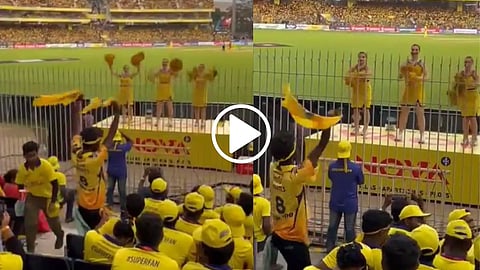 Cricket Fan