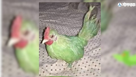 Pakistan Karachi Viral News