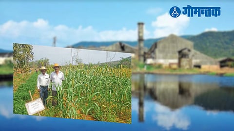 Goa Agriculture