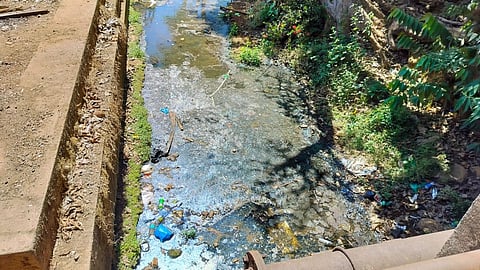 stench spread because of the drain