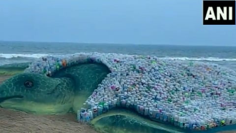 World Environment Day 