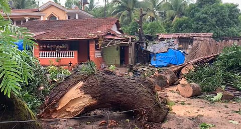 Goa Rain Update