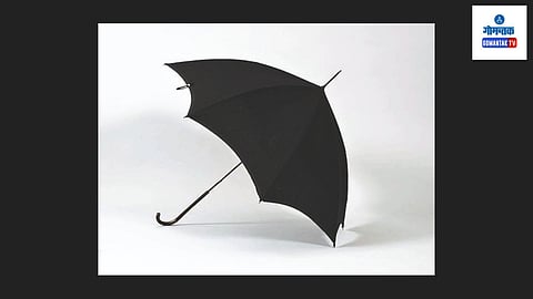 The Umbrella