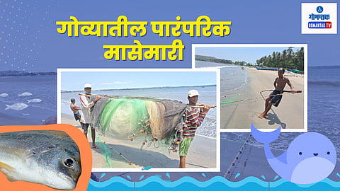 Goa's Traditional Fishing