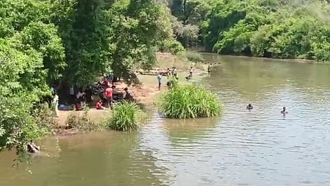 Sal Dam