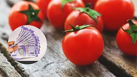 Tomato Price Hike