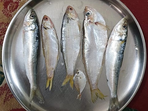 Goa Fish