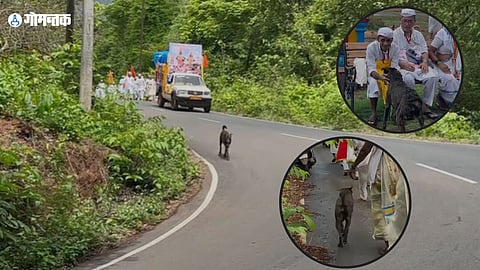 Dog Joins Pandharpur Wari in Goa