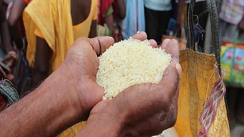 Rice