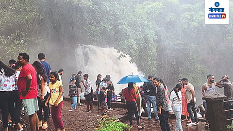 Goa Water Falls