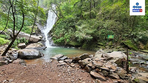 Waterfall 