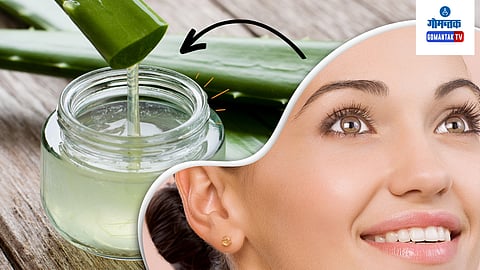 Aloe Vera
