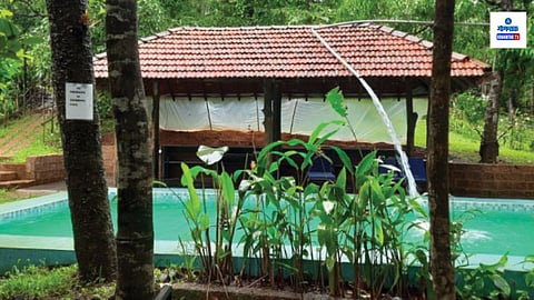 Eco Farming in Goa