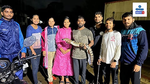 crocodile rescue on mumbai-goa highway
