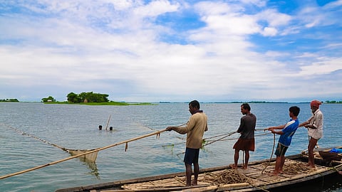 Fish Farming 