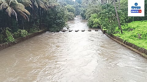Goa Monsoon