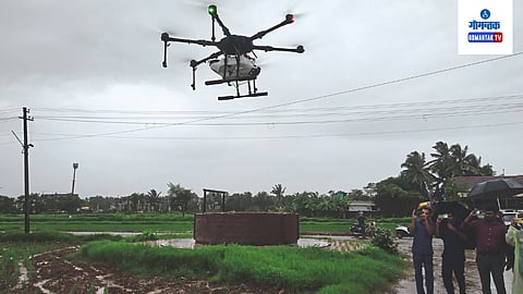 mapusa
