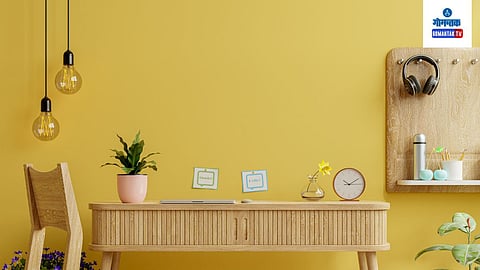 Vastu Tips For Wall Painting