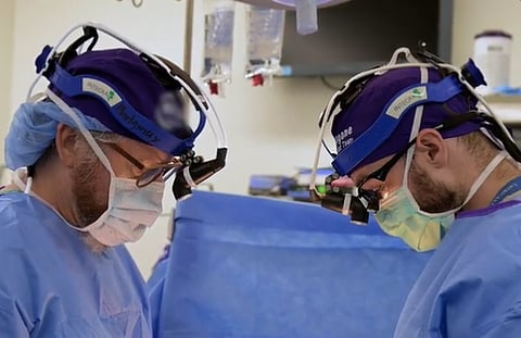 Pig kidney transplanted into a human in USA