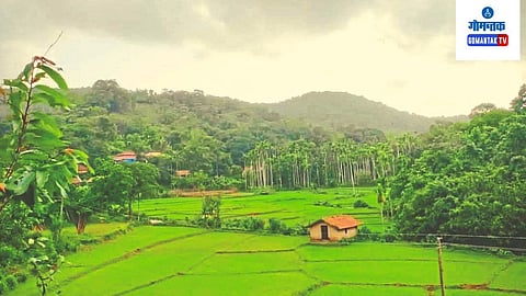 Goa Eco Zone, Goa Eco Sensitive Area, expert committee