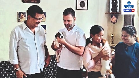 Rahul Gandhi